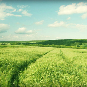 乙0Z0S肥婆重口另娄Z
