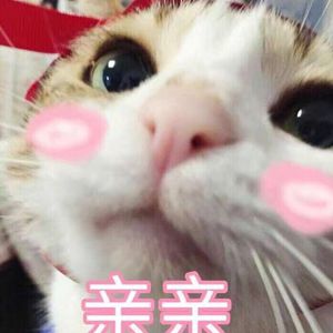 乙0Z0S肥婆重口另娄Z
